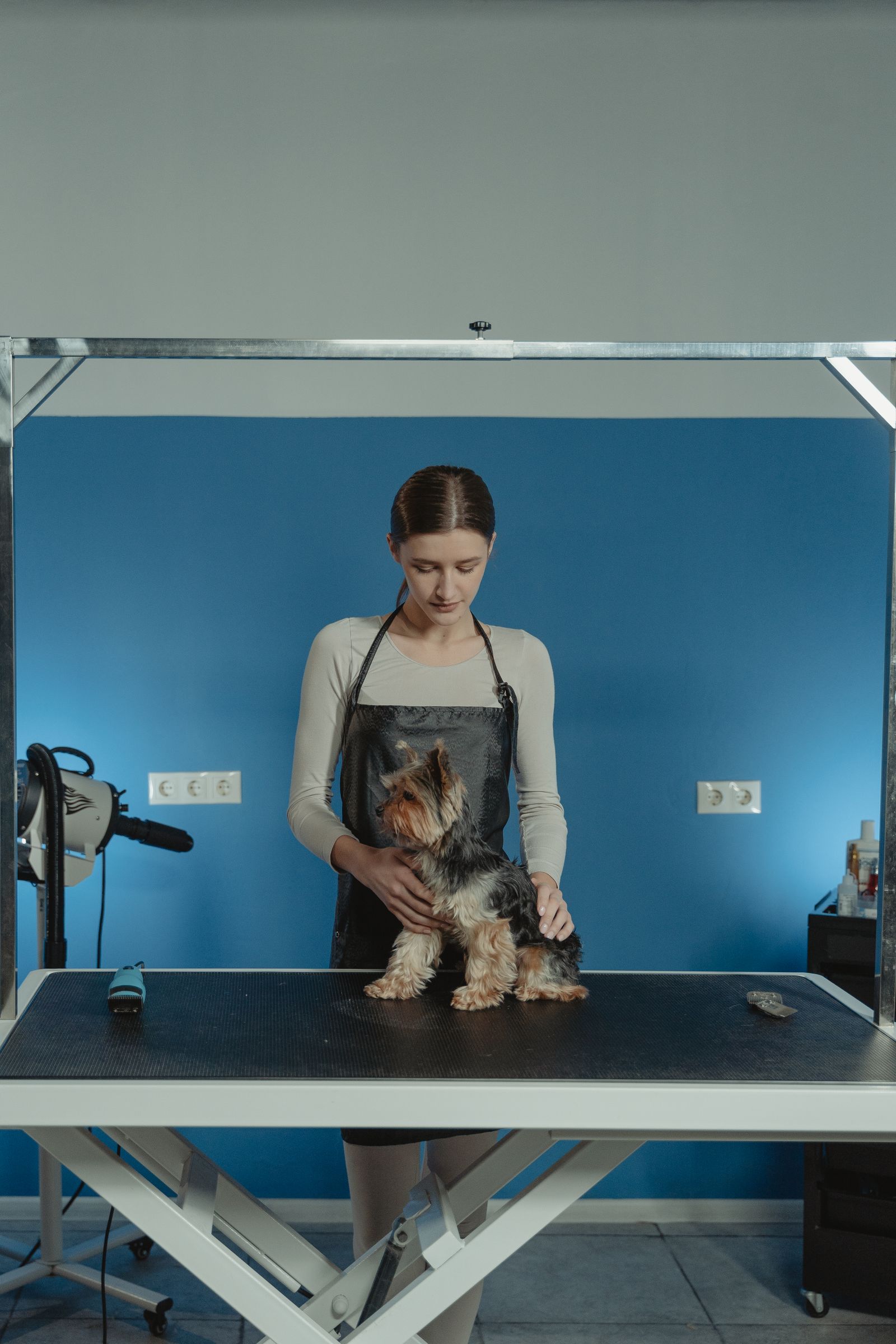 Groomer carefully styling a small dog on the grooming table at Dani's Pet Spa